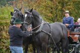 k-2022-09-25_039_50-Jahre_Schuetzengau_Glonnquell_Mittelstetten_WP