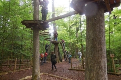 Kletterwald 2014